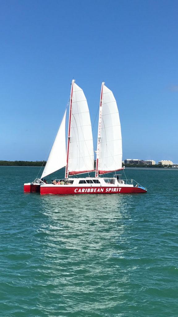a sailboat on a body of water