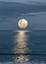 a body of water
