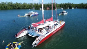 Sail Caribbean Sailing Catamaran of Miami Beach