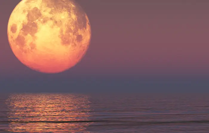 FullMoonSunsetFortLauderdaleCruise-e1736225069406 (1)