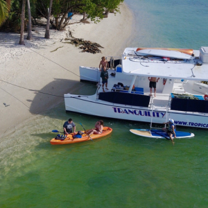 Tropical Sailing Website (1)