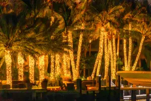 Holiday Cruise with Tropical Sailing Fort Lauderdale